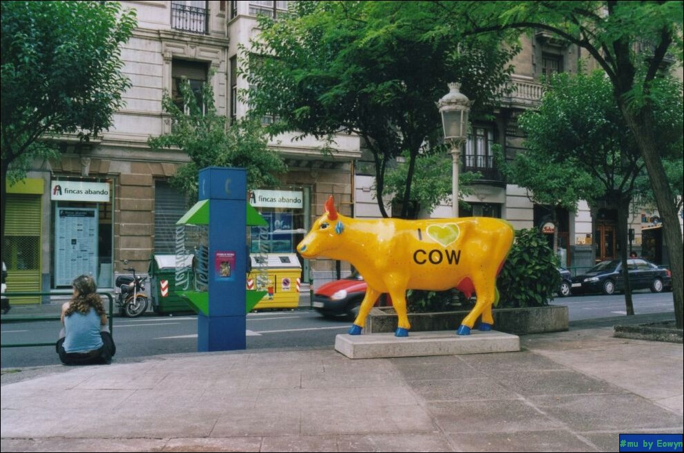 vaca011.jpg