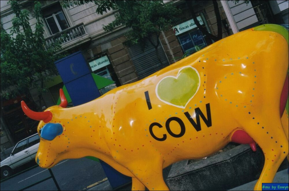 vaca012.jpg