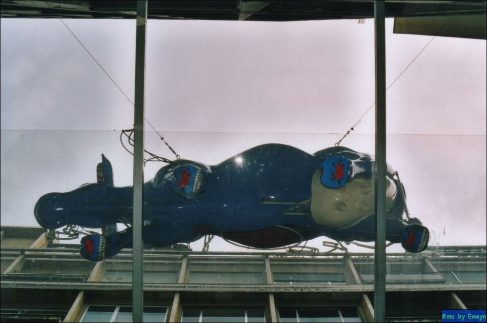 vaca015.jpg