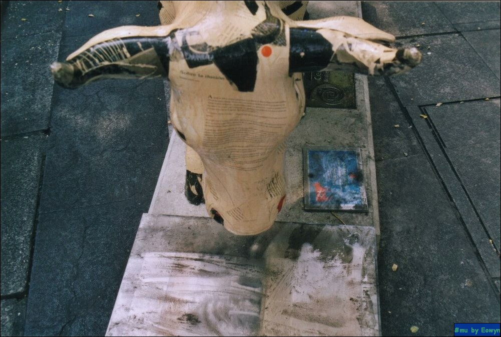 vaca016.jpg