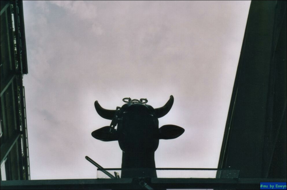 vaca018.jpg