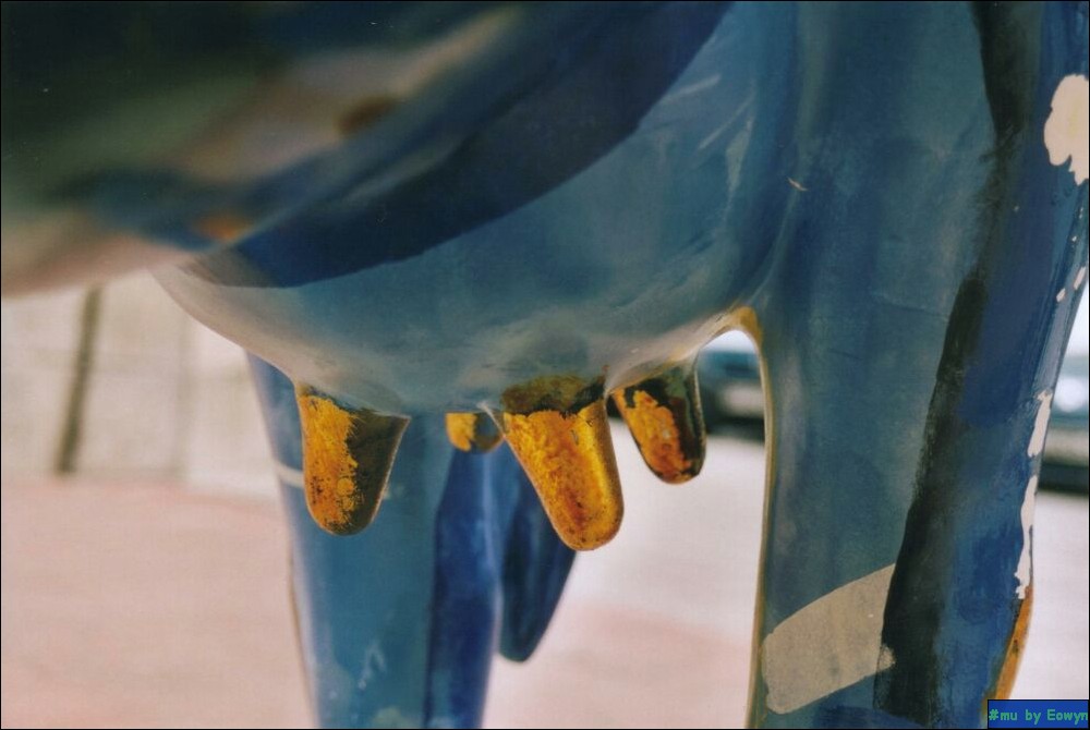 vaca020.jpg