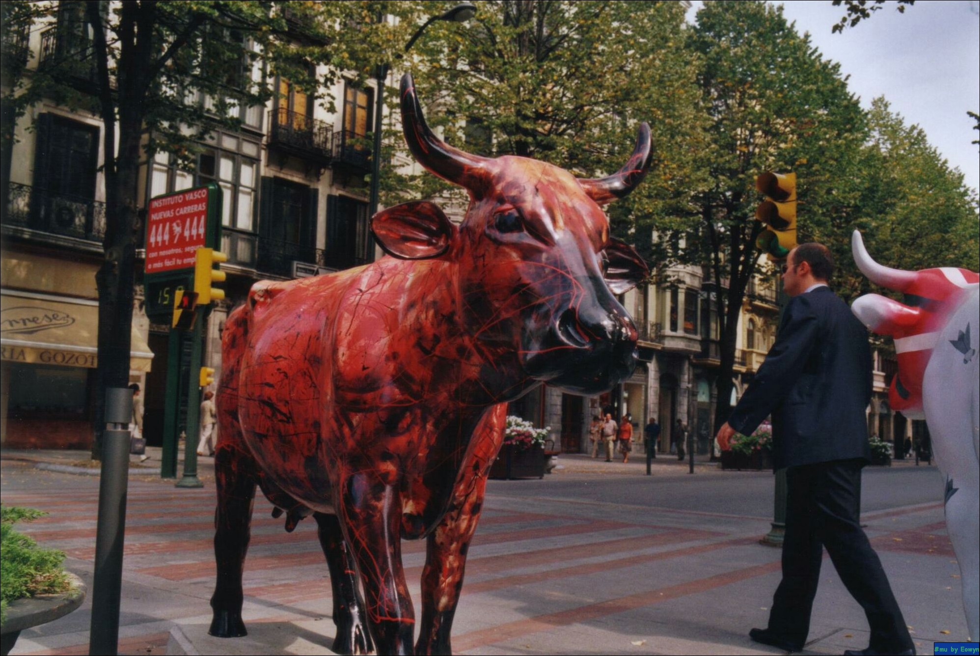 vaca309.jpg