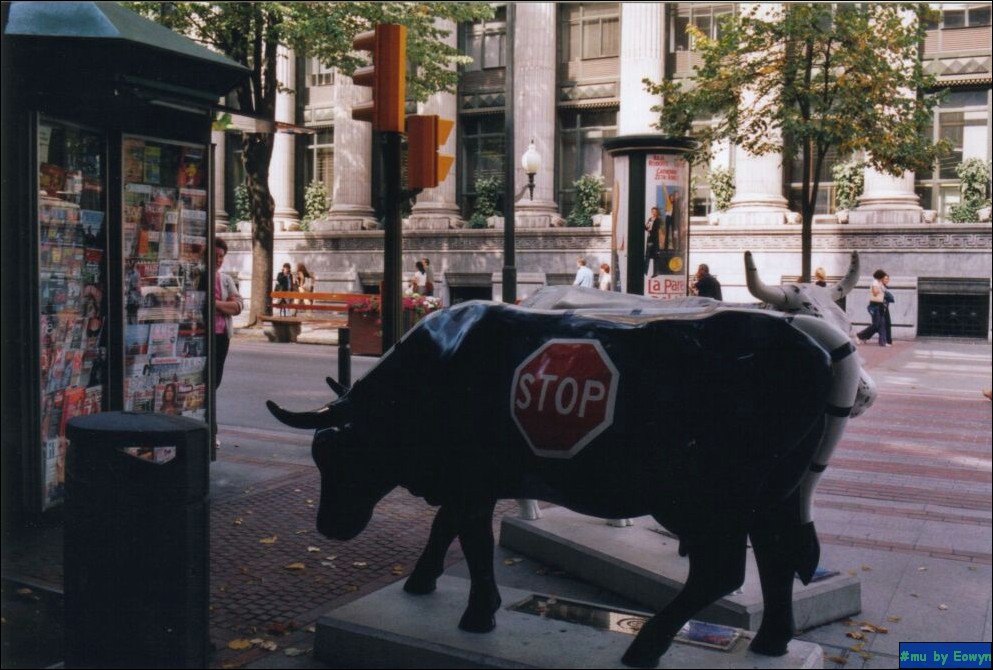 vaca312.jpg