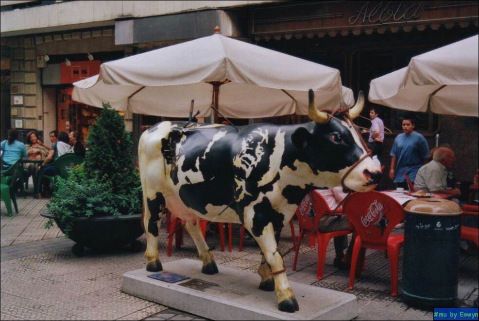 vaca314.jpg