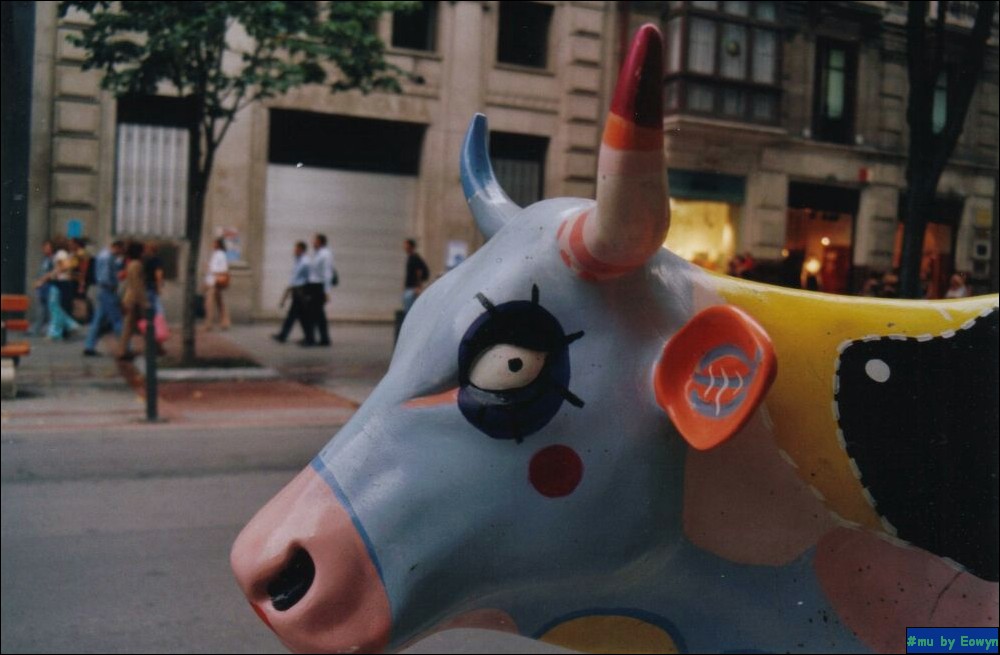 vaca322.jpg