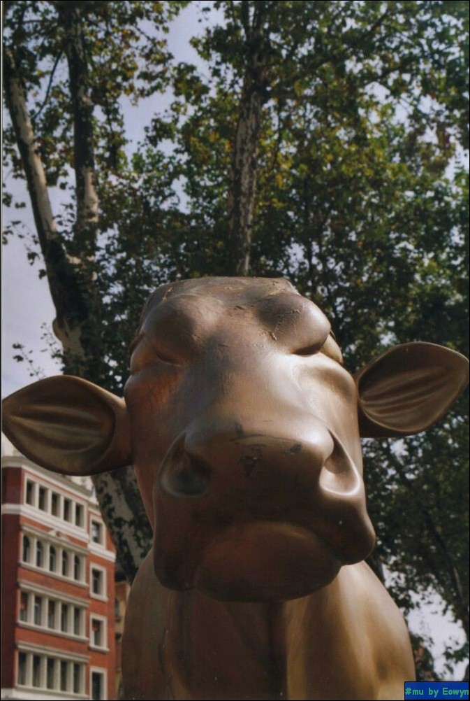 vaca407.jpg