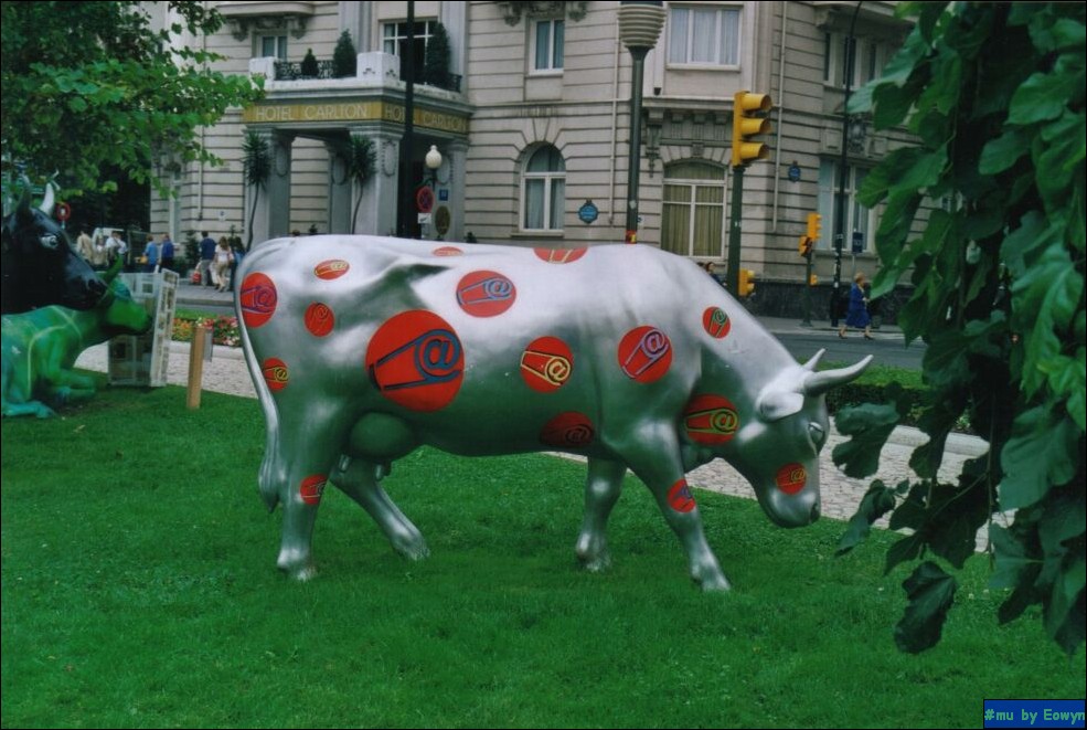 vaca500.jpg