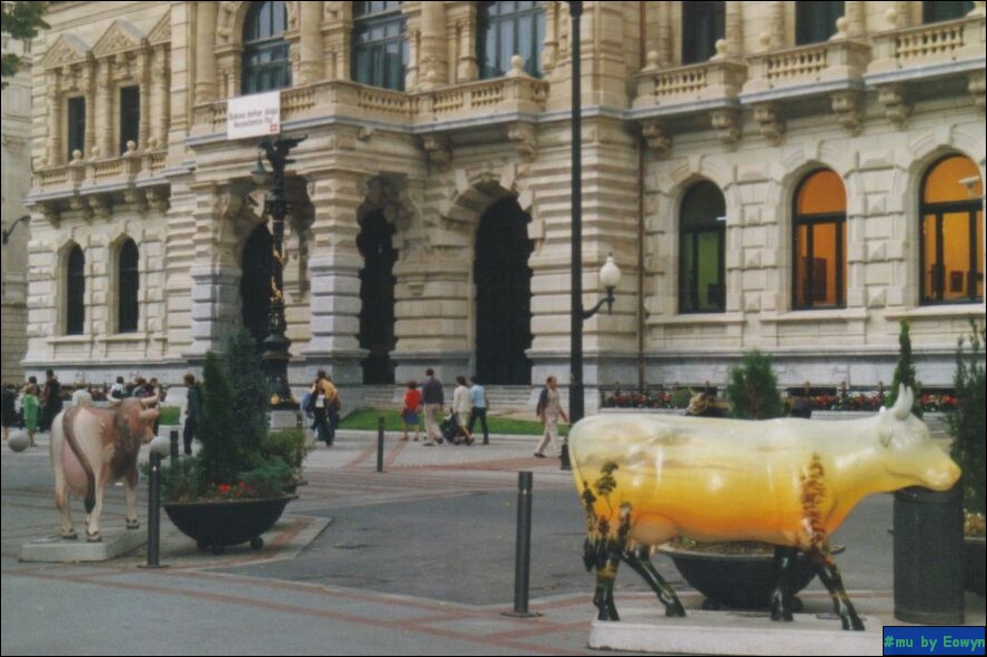 vaca502.jpg