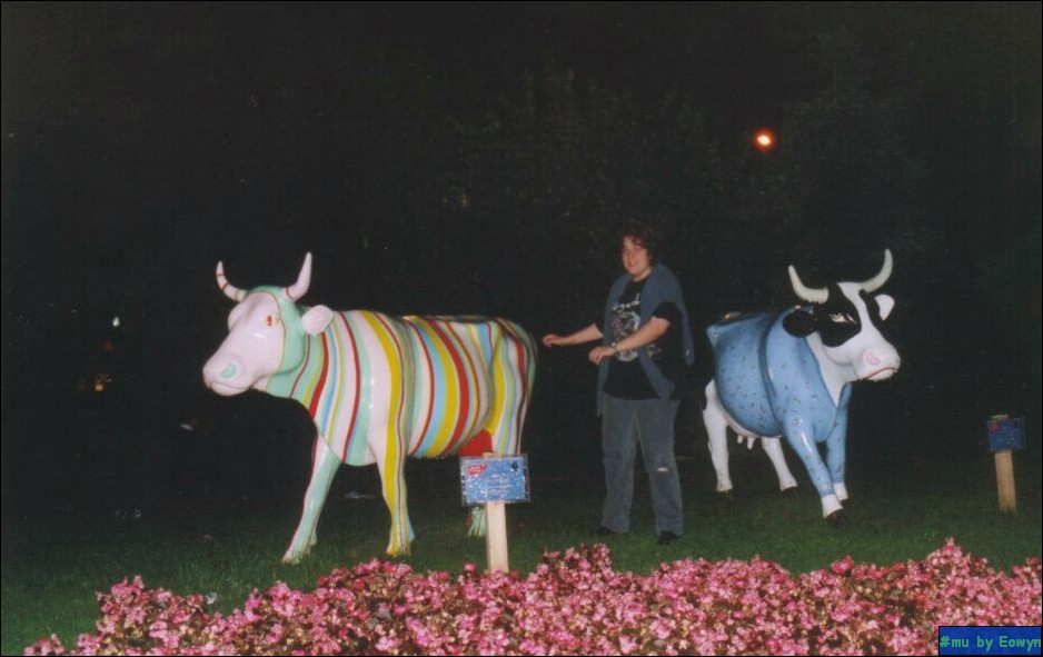 vaca504.jpg