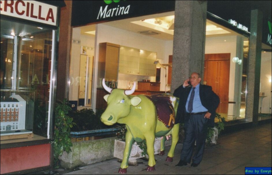 vaca506.jpg