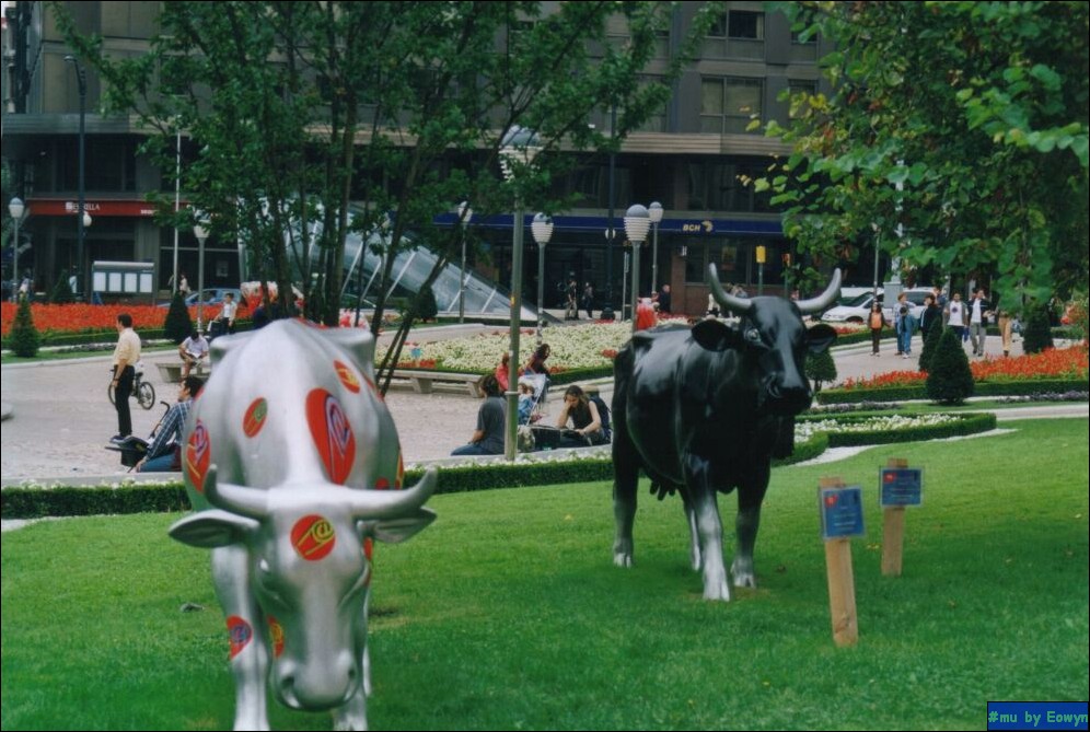 vaca524.jpg