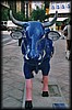 vaca006.jpg
