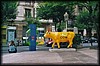 vaca011.jpg