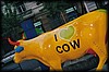 vaca012.jpg
