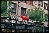 vaca013.jpg