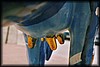 vaca020.jpg