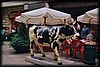 vaca314.jpg
