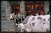 vaca321.jpg