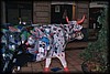 vaca323.jpg