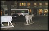 vaca501.jpg