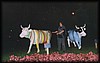 vaca504.jpg